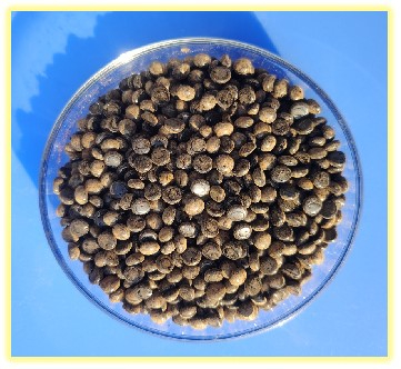 生物基粘合樹脂IRF